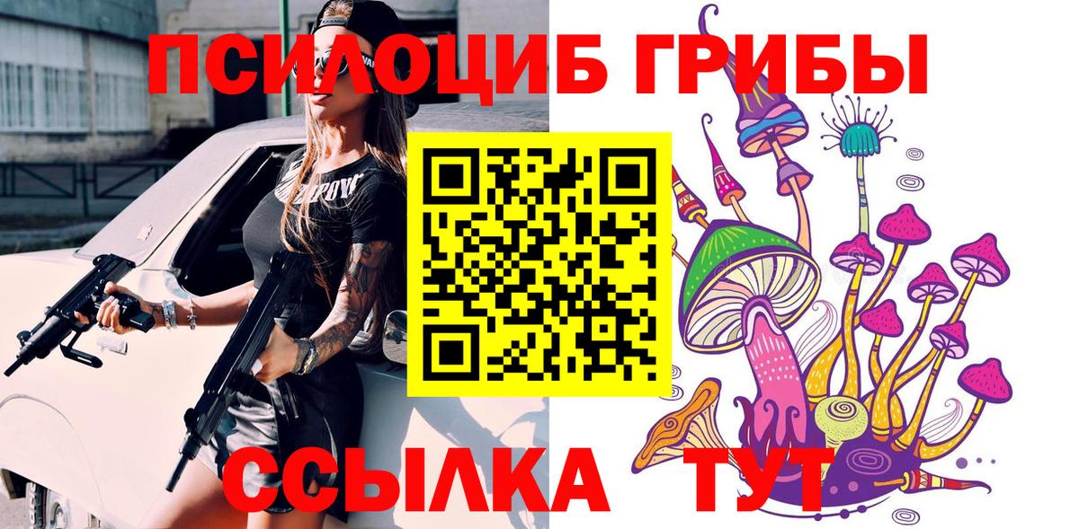 Псилоцибиновые грибы Psilocybe  Псилоцибиновые грибы GOLDEN TEACHER  Севастополь  Вход с VPN 